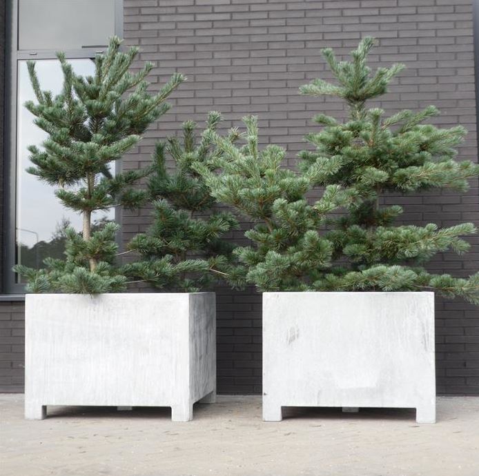 Plantenbak Carrez met poten 60x60x60 cm