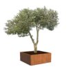 Plantenbak Carrez vierkant 200x200x80 cm