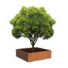 Plantenbak Carrez zonder bodem 200x200x60 cm