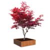 Plantenbak Carrez zonder bodem 200x200x60 cm