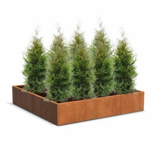 Plantenbak Carrez vierkant 200x200x40 cm