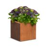 Plantenbak Carrez vierkant 40x40x40 cm