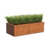 Plantenbak Carrez zonder bodem 200x100x60 cm