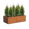 Plantenbak Carrez langwerpig 200x100x60 cm