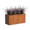 Plantenbak Carrez langwerpig 120x50x60 cm
