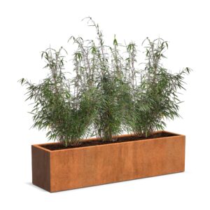 Plantenbak Carrez langwerpig 200x50x50 cm