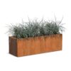 Plantenbak Carrez langwerpig 150x50x50 cm