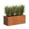 Plantenbak Carrez langwerpig 120x50x50 cm