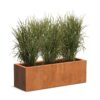 Plantenbak Carrez langwerpig 120x40x40 cm
