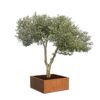 Plantenbak Carrez vierkant 140x140x60 cm