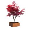 Plantenbak Carrez vierkant 140x140x60 cm