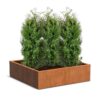 Plantenbak Carrez zonder bodem 140x140x40 cm