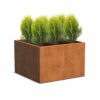 Plantenbak Carrez vierkant 120x120x80 cm