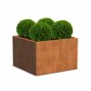 Plantenbak Carrez zonder bodem 120x120x80 cm