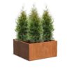 Plantenbak Carrez zonder bodem 120x120x60 cm