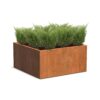 Plantenbak Carrez zonder bodem 120x120x60 cm
