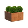 Plantenbak Carrez zonder bodem 100x100x60 cm