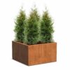 Plantenbak Carrez zonder bodem 100x100x60 cm