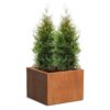 Plantenbak Carrez vierkant 80x80x60 cm