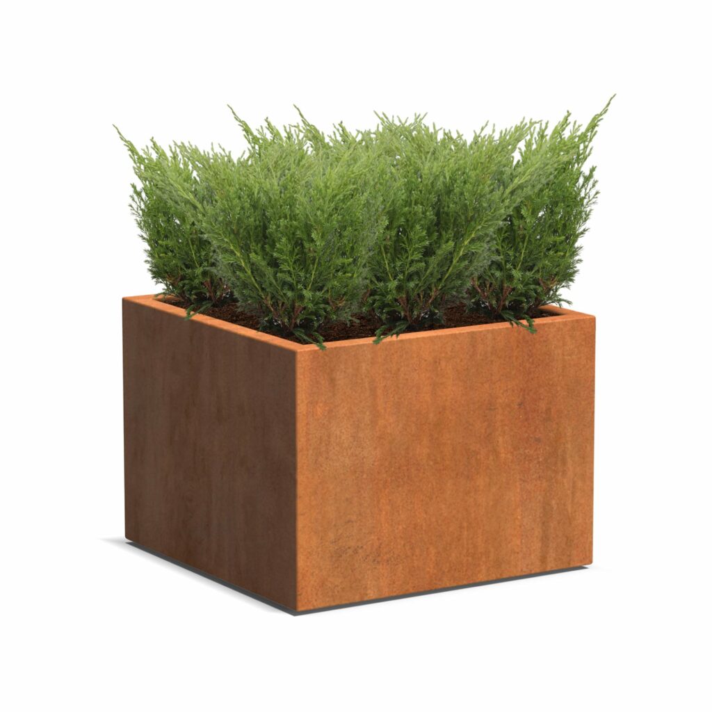 Plantenbak Carrez zonder bodem 80x80x60 cm