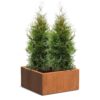 Plantenbak Carrez vierkant 80x80x40 cm