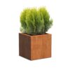 Plantenbak Carrez vierkant 70x70x70 cm