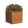 Plantenbak Carrez vierkant 50x50x50 cm