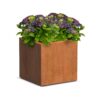 Plantenbak Carrez vierkant 50x50x50 cm