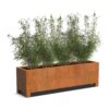 Plantenbak Carrez met poten 200x50x60 cm