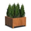 Plantenbak Andes met poten 100x100x60 cm
