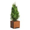 Plantenbak Carrez met poten 70x70x70 cm
