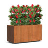 Plantenbak Carrez met wielen 120x50x60 cm