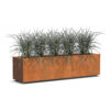 Plantenbak Carrez met wielen 200x50x50 cm