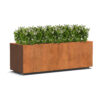 Plantenbak Carrez met wielen 150x50x50 cm