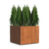 Plantenbak Carrez met wielen 100x100x80 cm