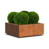 Plantenbak Carrez met wielen 100x100x40 cm