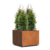 Plantenbak Andes met wielen 80x80x60 cm