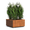 Plantenbak Carrez met wielen 80x80x40 cm
