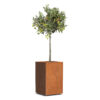 Plantenbak Carrez met wielen 50x50x80 cm