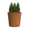Plantenbak Conic Ø100×100 cm
