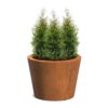 Plantenbak Conic Ø80×60 cm