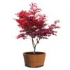 Plantenbak Conic met Poten Ø150×80 cm