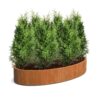 Plantenbak Ellipse 280x160x40 cm