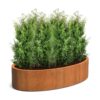 Plantenbak Ellipse 200x120x40 cm
