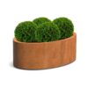 Plantenbak Ellipse 120x80x40 cm