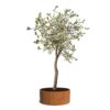 Plantenbak Cirum Ø200×80 cm