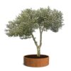 Plantenbak Cirum Ø200×60 cm