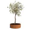 Plantenbak Cirum Ø200×60 cm