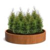 Plantenbak Cirum Ø200×40 cm