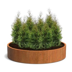 Plantenbak Cirum zonder bodem Ø200×40 cm
